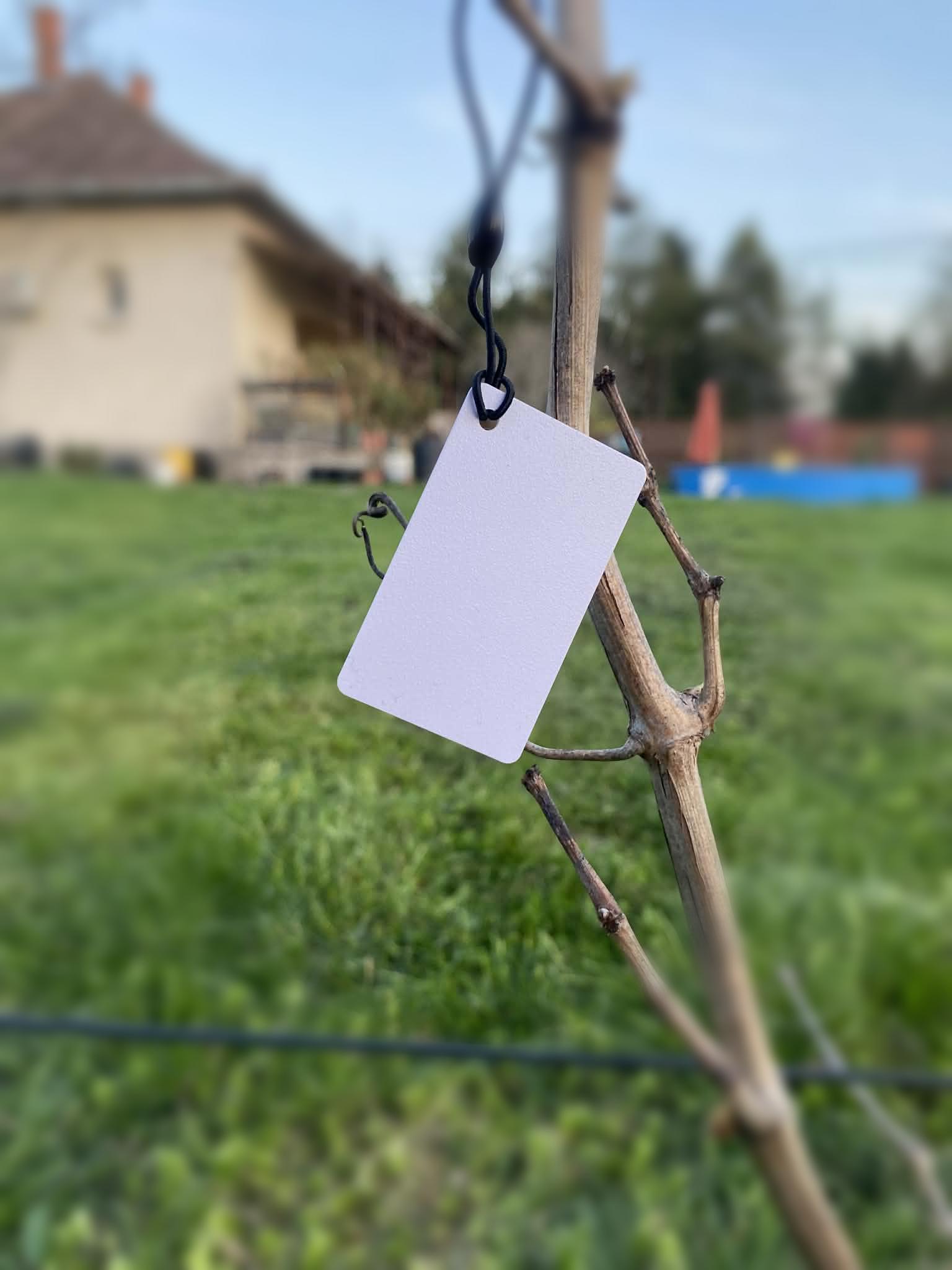 BotaniTag - fehér