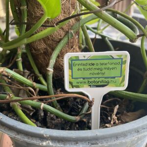 BotaniTag – Szerkeszthető