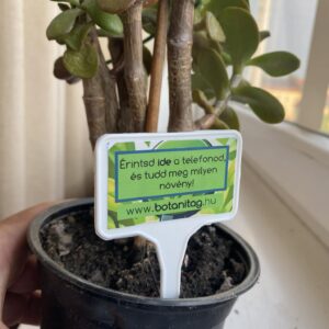 BotaniTag - Leszúrható